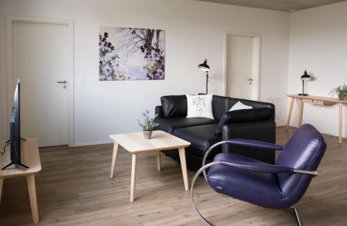 Schaffhausen Apartment | Atrium Apartments