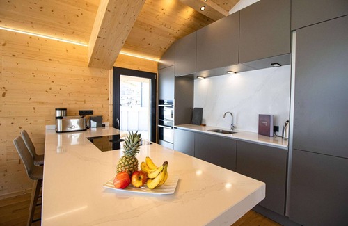 Haus im Ennstal Ski Chalet | Attractive chalet on the slopes