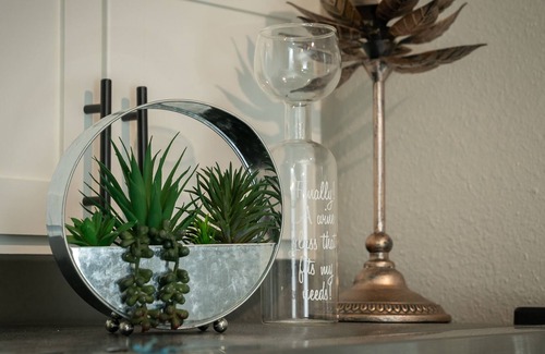 Barton Heights Apartment | ATX ‘Wildflower’ in Zilker Park near S Lamar