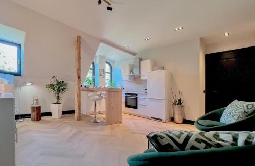 Plauen Apartment | außergewöhnliche Ferienwohnung Stadtvilla Plauen