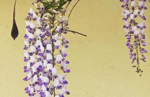 Noe Bed & Breakfast | Au Bien Venu