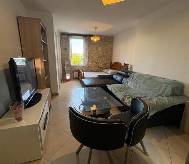 Ales Apartment | Au pied de l'ermitage