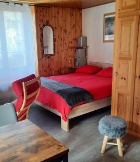 Evolene Apartment | Au village d'Evolène, très joli studio calme et ensoleillé