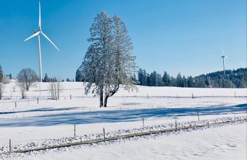 Sonvilier Hotel | Auberge de l'Assesseur - Mont-Soleil