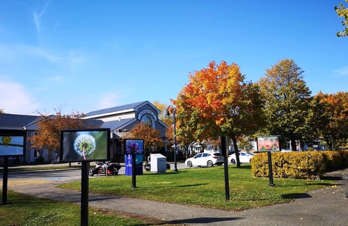 La Baie Hotel | Auberge des 21