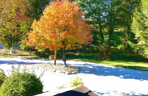 Chelsea Bed & Breakfast | Auberge Tom B&B