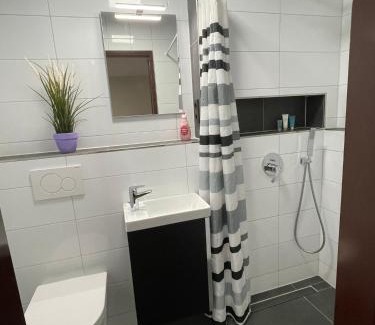 Steinbach Apartment | Auf der Alm 21 N.1