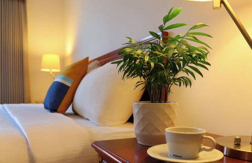 Downtown Squamish Hotel | August Jack Motor Inn