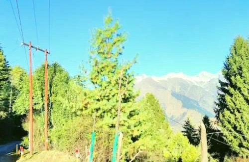Auli House | Auli Laga Homestay