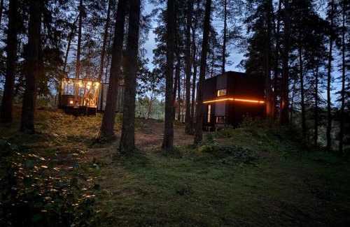 Adazi Other | Aura Glemp