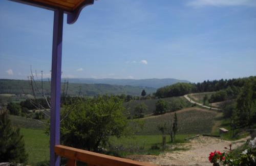 Aurel House | Aurel inattendu