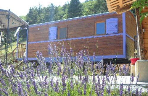 Aurel House | Aurel inattendu