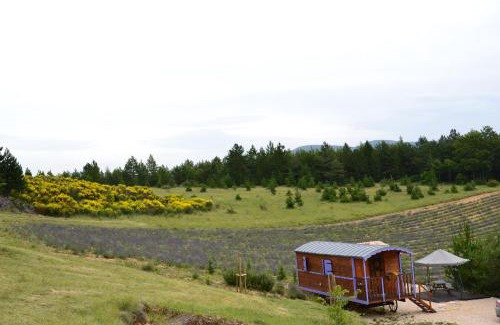 Aurel House | Aurel inattendu