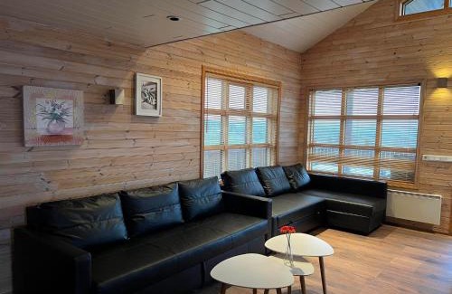 Selfoss Apartment | Aurora borealis in the middle of Golden circle