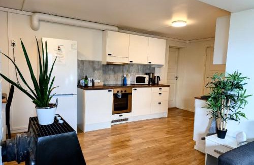 Tromso House | Aurora rooms in shared apartment nr1 We are doing privet northen light trip, reindeer trip and sommaroy Fjord trip