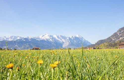 Farchant Apartment | Ausblick