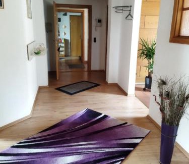 Winzer Apartment | Aussergewöhnliche Atelierferienwohnung mit Balkon an der Donau
