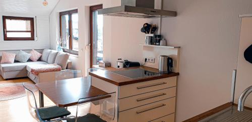 Furtwangen Apartment | Auszeit auf 1000 m Höhe mit Familie & Hund