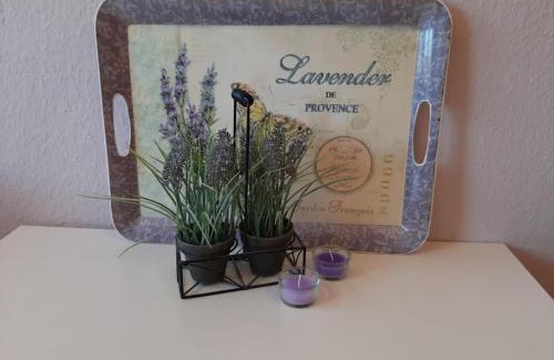 Johannisberg Apartment | Auszeit Rheingauer Rosengasse