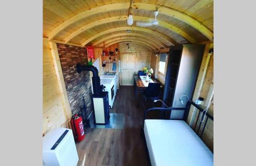 Rumikon Apartment | Autarkes Tiny House mit Rheinblick