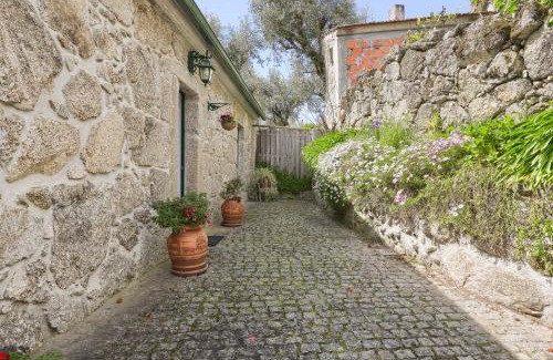 Penalva Do Castelo Apartment | Authentic apartment in rural area