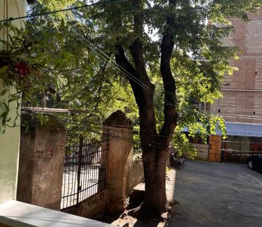 Sololaki Apartment | Authentic Old Tbilisi Apartment