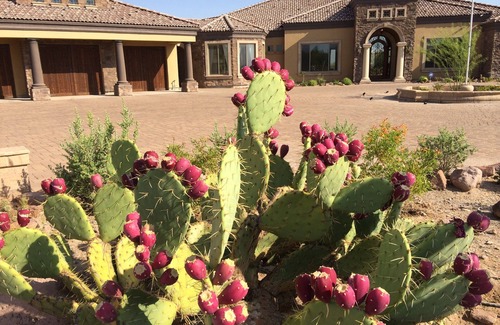 Apache Junction House | AUTHENTIC SANTA FE TUSCAN-STYLE VILLA WITH PANORAMIC VIEWS.