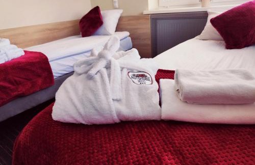 Podgorze Hotel | Automobil Hotel