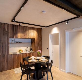 Vladeni Apartment | Avalanche Chalet Poiana Brasov Mountain Escape