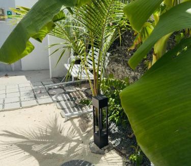 Himmafushi Apartment | Avi Cabana