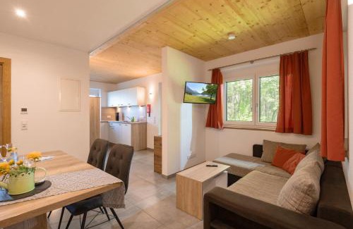 Scheffau am Wilden Kaiser Apartment | AW - Apartment Wilder Kaiser
