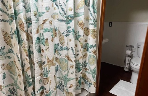 Palacios Apartment | Aw Tomorrow Siesta and Shower - The Oyster Bed