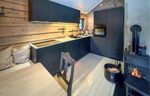 Ljosland House | Awesome Home In Åseral With Wifi
