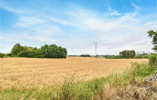 Stenstrup House | Awesome Home In Stenstrup With Wifi