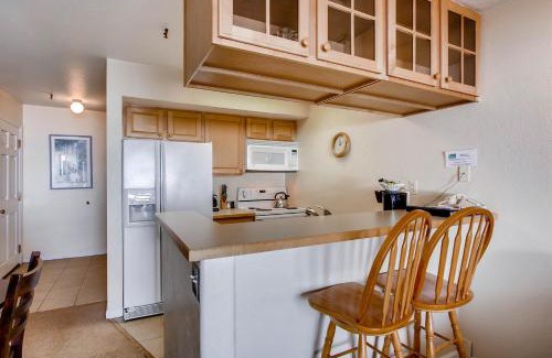 Crested Butte Apartment | Axtel 1 Br Loft AX410