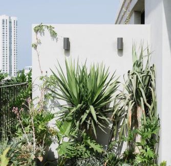 Tel Aviv Hotel | AYA Boutique ApartHotel By EZ TLV