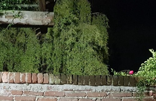 Momo House | Az.Agr.Cascina Moretta