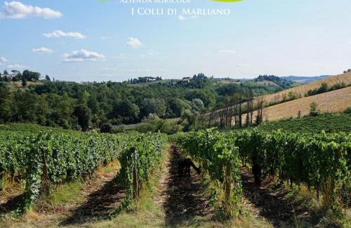 Lastra a Signa House | Azienda Agricola I Colli di Marliano