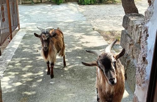 Tocco da Casauria House | azienda agrituristica la torretta