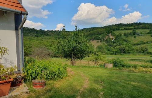 Kaptalantoti Apartment | Bácshegyi Vendégház 1