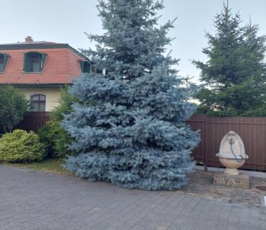 Miskolc-Tapolca House | Bálint Villa Vendégház