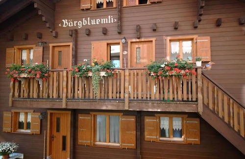 Bettmeralp Apartment | Bärgblüemli 2. OG Ost by Interhome