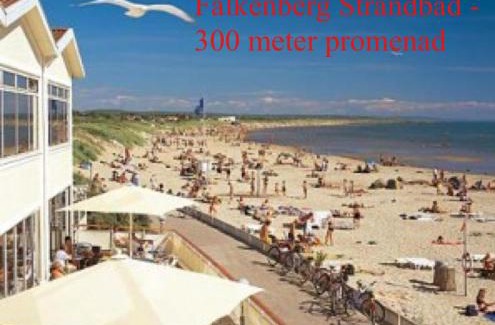 Falkenberg Apartment | Bästa läget på Skrea Strand - nära till centrum