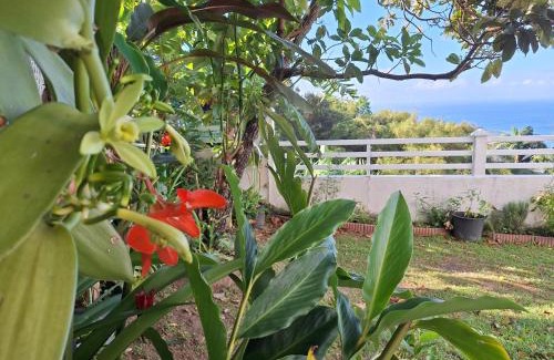 Bouillante House | Bélavue & SPA Privé, avec vue panoramique sur mer, jardin créole paysager, jacuzzi privé