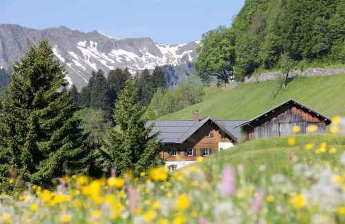 Mittelberg Apartment | Bödmerhof