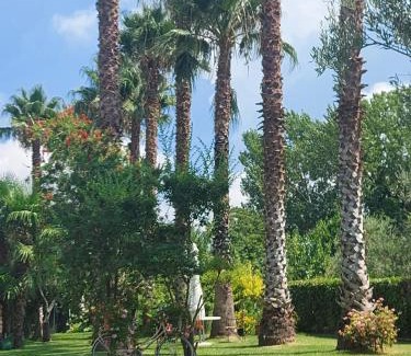Capaccio Scalo Bed & Breakfast | B & B 2 eRRe