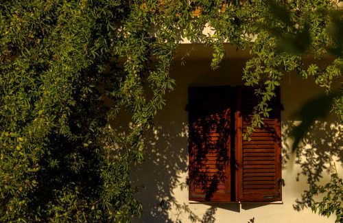 Monteprandone Bed & Breakfast | B&B 5 Colli