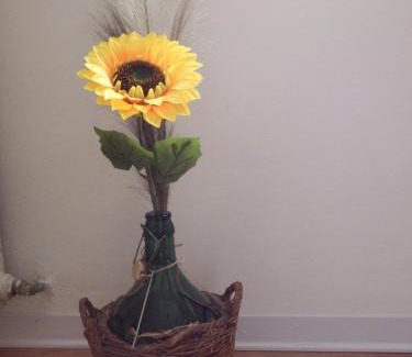 Buonconvento Bed & Breakfast | B&B Al Colle