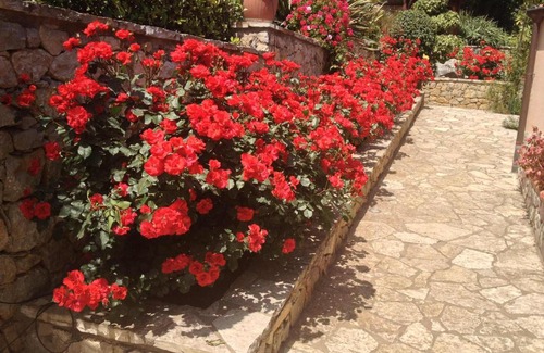 Monreale Bed & Breakfast | B&B Al Giardino