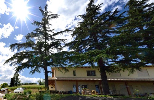 Sogliano al Rubicone Bed & Breakfast | B&B Al Tardino
